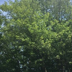 Meet your Posher, Becky